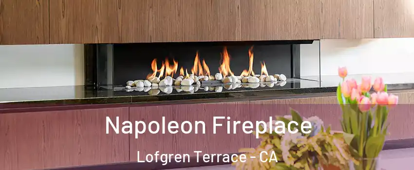 Napoleon Fireplace Lofgren Terrace - CA