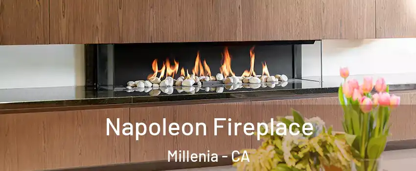 Napoleon Fireplace Millenia - CA