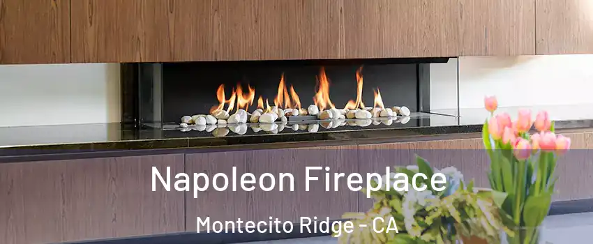 Napoleon Fireplace Montecito Ridge - CA
