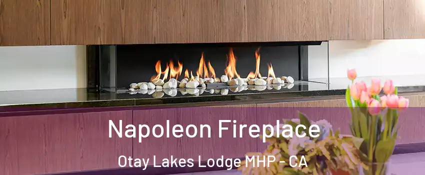 Napoleon Fireplace Otay Lakes Lodge MHP - CA