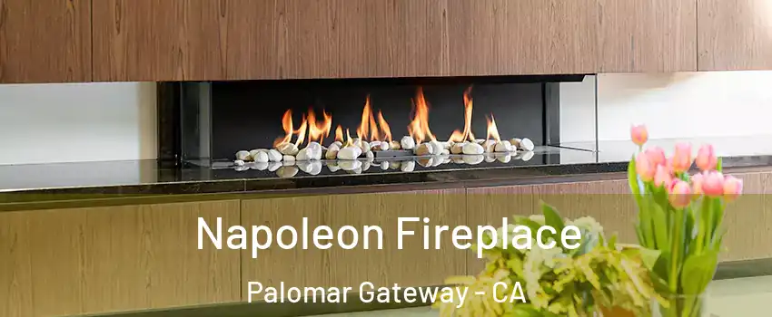 Napoleon Fireplace Palomar Gateway - CA
