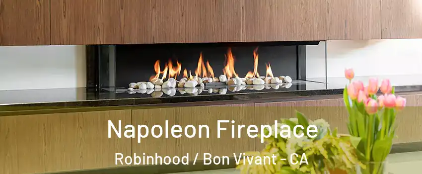 Napoleon Fireplace Robinhood / Bon Vivant - CA