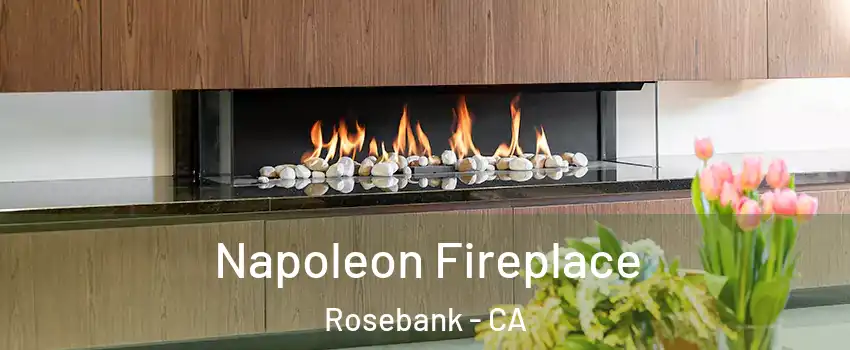 Napoleon Fireplace Rosebank - CA