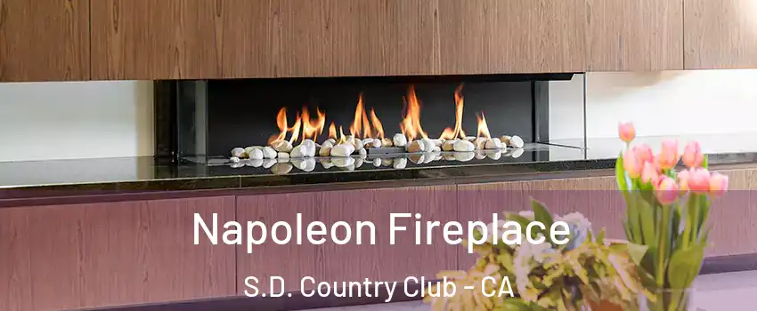 Napoleon Fireplace S.D. Country Club - CA