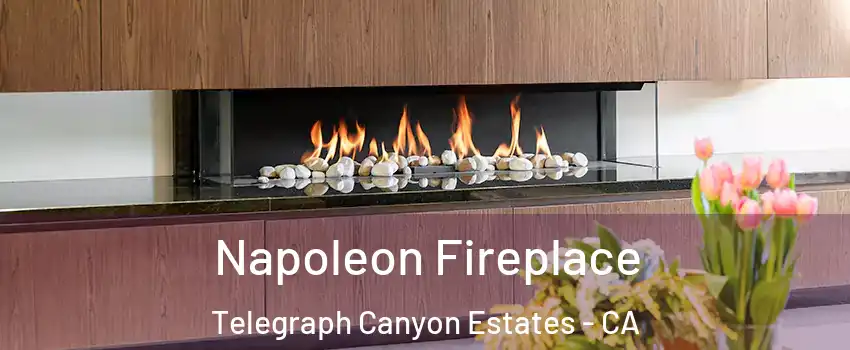 Napoleon Fireplace Telegraph Canyon Estates - CA