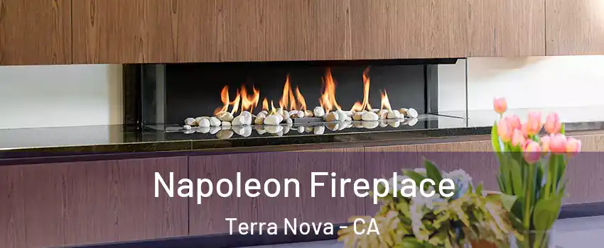 Napoleon Fireplace Terra Nova - CA