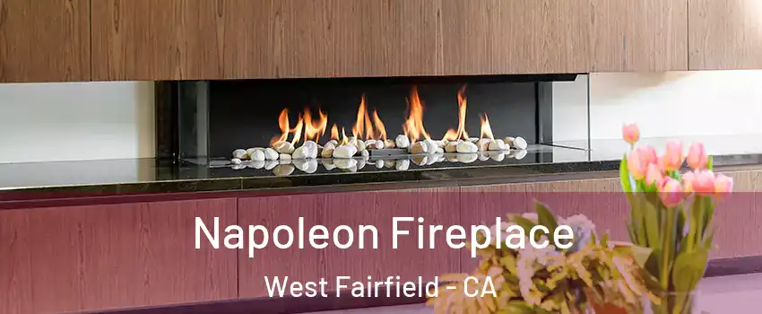 Napoleon Fireplace West Fairfield - CA