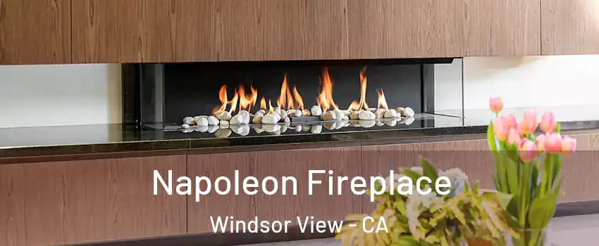 Napoleon Fireplace Windsor View - CA