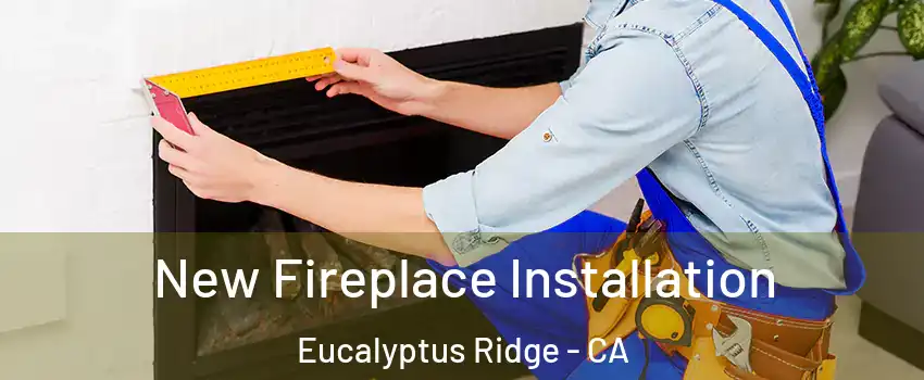 New Fireplace Installation Eucalyptus Ridge - CA