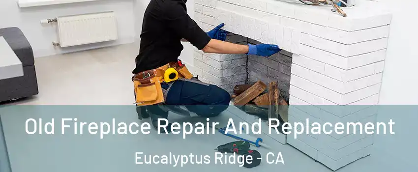 Old Fireplace Repair And Replacement Eucalyptus Ridge - CA