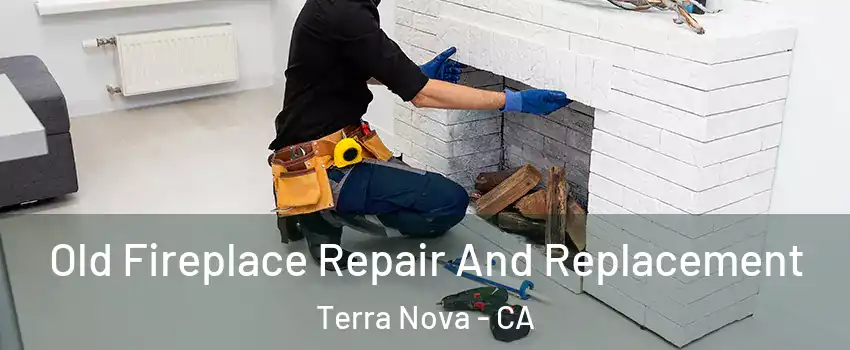 Old Fireplace Repair And Replacement Terra Nova - CA