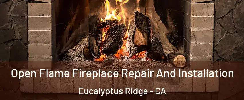 Open Flame Fireplace Repair And Installation Eucalyptus Ridge - CA