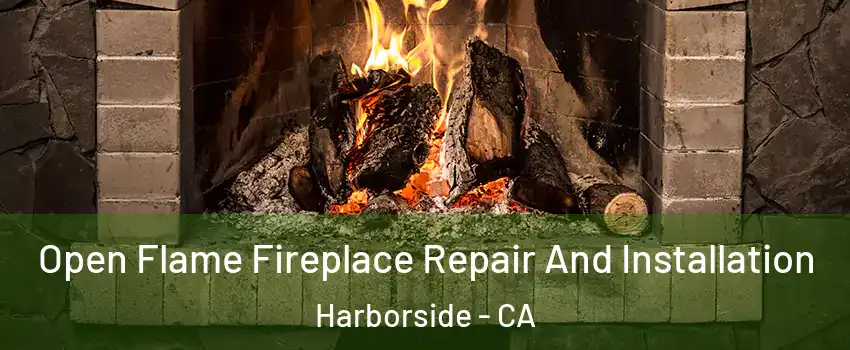 Open Flame Fireplace Repair And Installation Harborside - CA