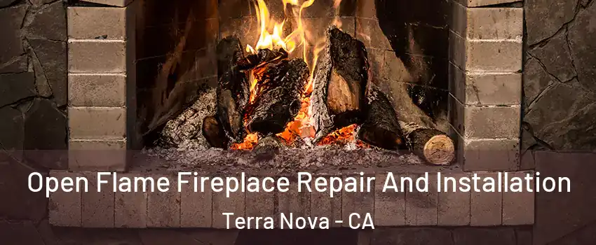 Open Flame Fireplace Repair And Installation Terra Nova - CA