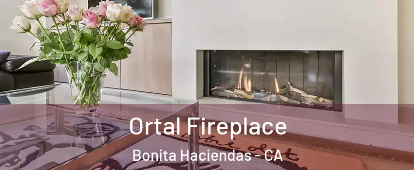 Ortal Fireplace Bonita Haciendas - CA