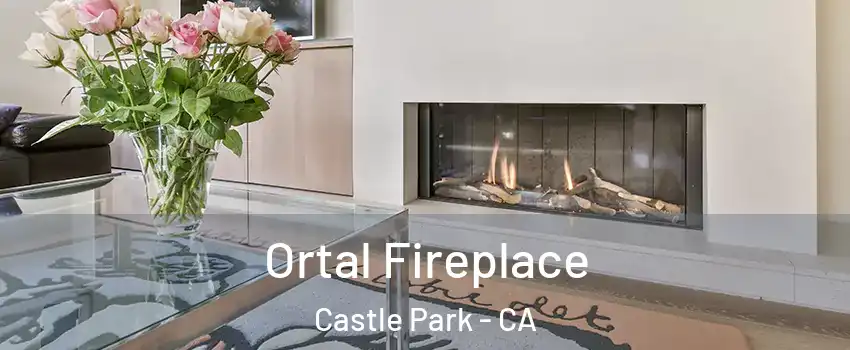 Ortal Fireplace Castle Park - CA