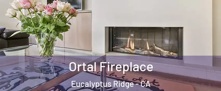 Ortal Fireplace Eucalyptus Ridge - CA
