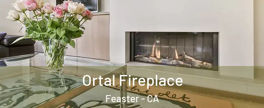 Ortal Fireplace Feaster - CA