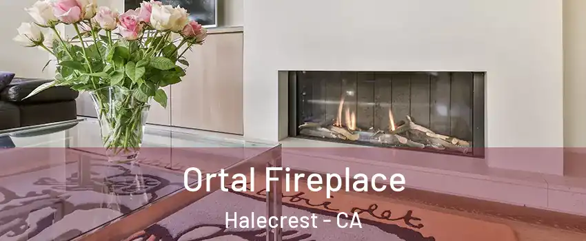Ortal Fireplace Halecrest - CA
