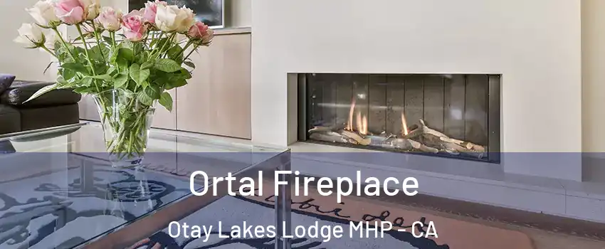 Ortal Fireplace Otay Lakes Lodge MHP - CA