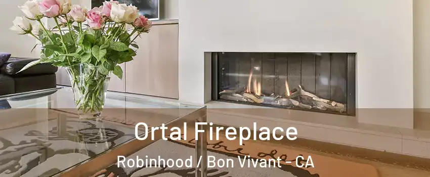 Ortal Fireplace Robinhood / Bon Vivant - CA