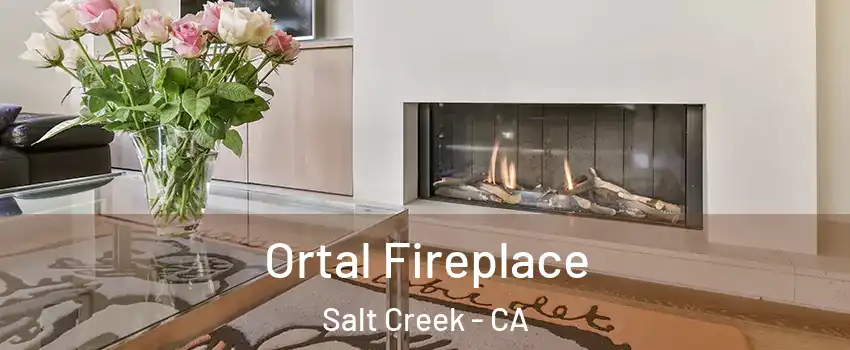 Ortal Fireplace Salt Creek - CA