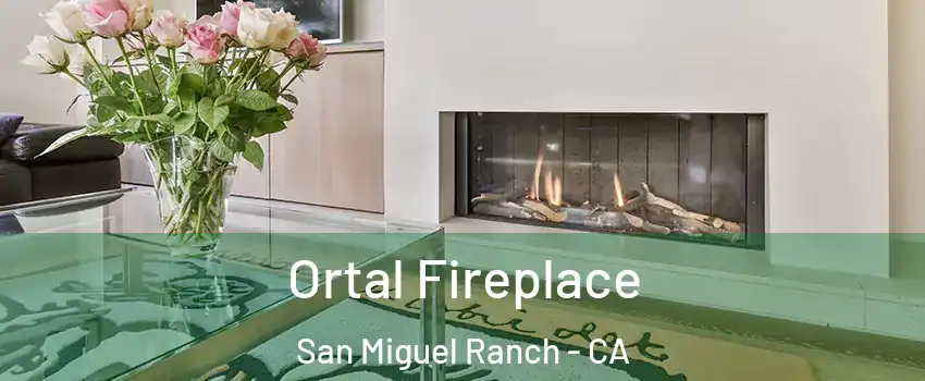 Ortal Fireplace San Miguel Ranch - CA