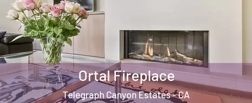 Ortal Fireplace Telegraph Canyon Estates - CA