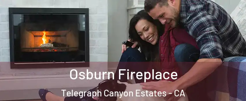 Osburn Fireplace Telegraph Canyon Estates - CA