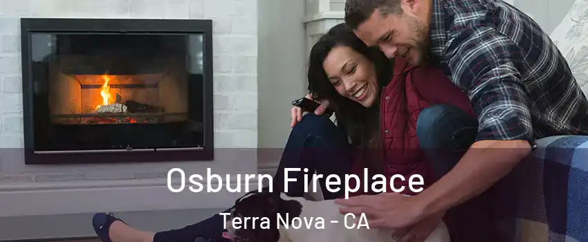 Osburn Fireplace Terra Nova - CA