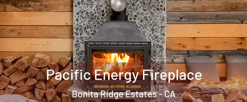 Pacific Energy Fireplace Bonita Ridge Estates - CA