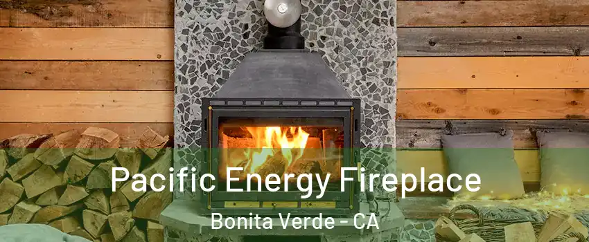 Pacific Energy Fireplace Bonita Verde - CA