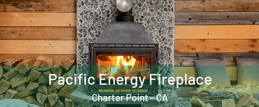 Pacific Energy Fireplace Charter Point - CA