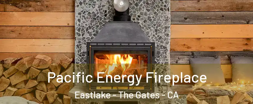 Pacific Energy Fireplace Eastlake - The Gates - CA