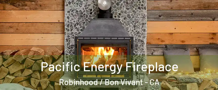 Pacific Energy Fireplace Robinhood / Bon Vivant - CA