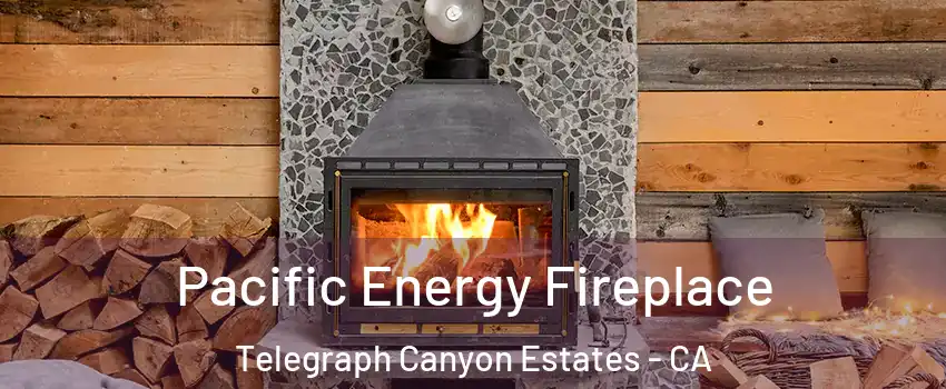 Pacific Energy Fireplace Telegraph Canyon Estates - CA