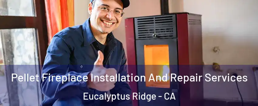 Pellet Fireplace Installation And Repair Services Eucalyptus Ridge - CA