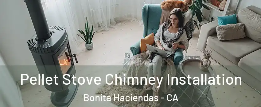 Pellet Stove Chimney Installation Bonita Haciendas - CA
