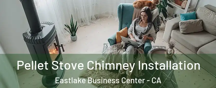 Pellet Stove Chimney Installation Eastlake Business Center - CA