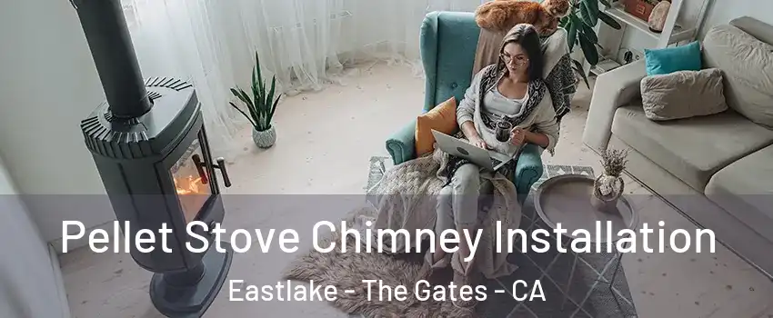 Pellet Stove Chimney Installation Eastlake - The Gates - CA