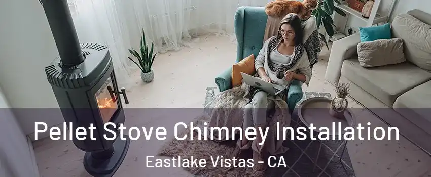 Pellet Stove Chimney Installation Eastlake Vistas - CA