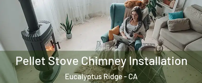 Pellet Stove Chimney Installation Eucalyptus Ridge - CA