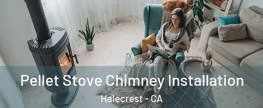 Pellet Stove Chimney Installation Halecrest - CA