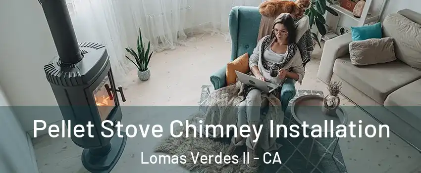 Pellet Stove Chimney Installation Lomas Verdes II - CA