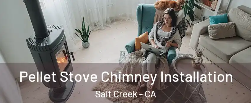 Pellet Stove Chimney Installation Salt Creek - CA