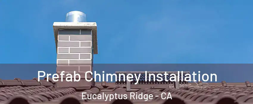 Prefab Chimney Installation Eucalyptus Ridge - CA
