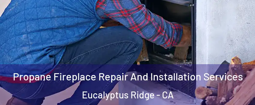 Propane Fireplace Repair And Installation Services Eucalyptus Ridge - CA
