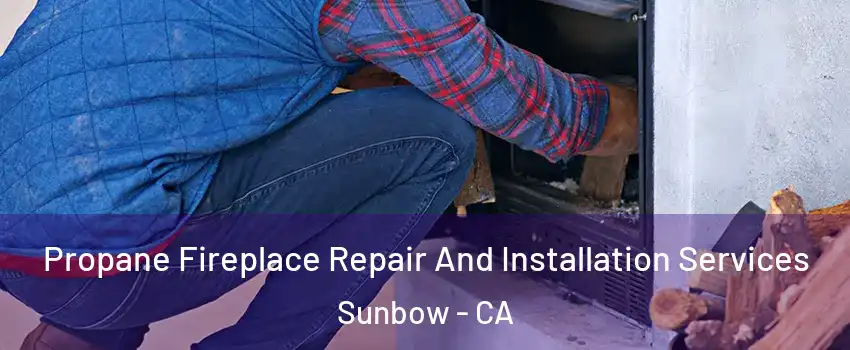 Propane Fireplace Repair And Installation Services Sunbow - CA