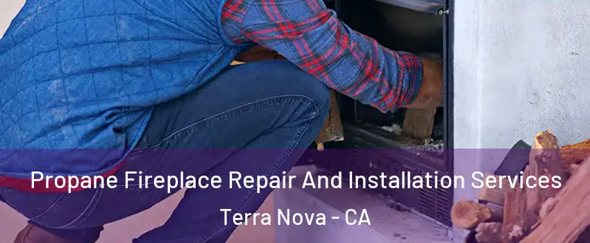 Propane Fireplace Repair And Installation Services Terra Nova - CA