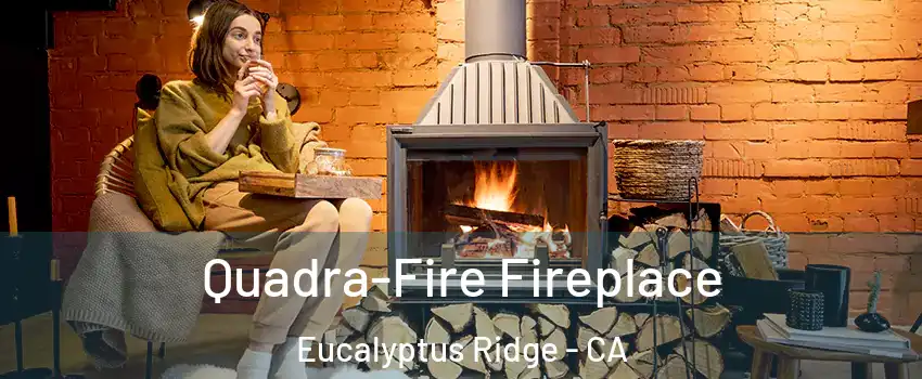 Quadra-Fire Fireplace Eucalyptus Ridge - CA